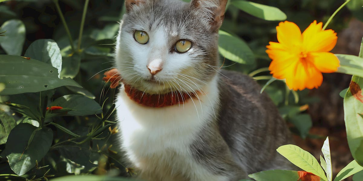 como fazer delineado gatinho